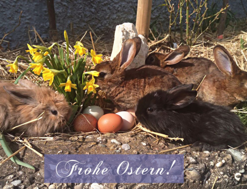 Frohe Ostern