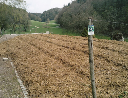 Ein Haufen Arbeit ist erledigt