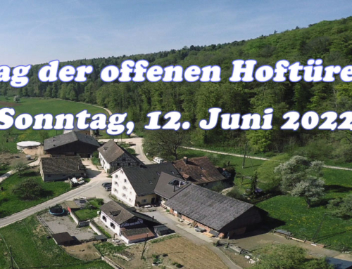 Tag der offenen Hoftüren 2022
